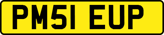 PM51EUP