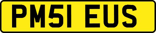 PM51EUS