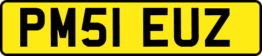 PM51EUZ