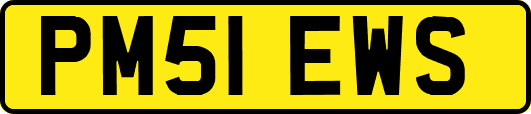 PM51EWS