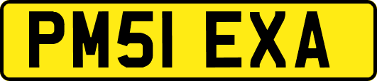 PM51EXA