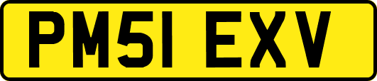 PM51EXV