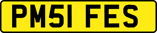 PM51FES