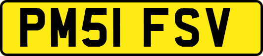 PM51FSV