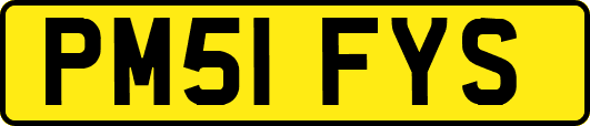 PM51FYS