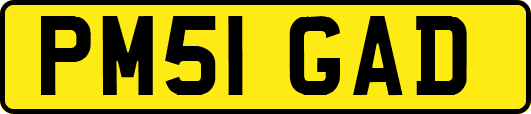 PM51GAD