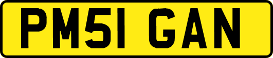 PM51GAN