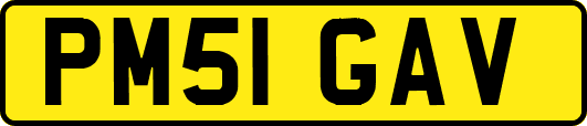 PM51GAV