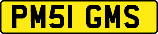 PM51GMS