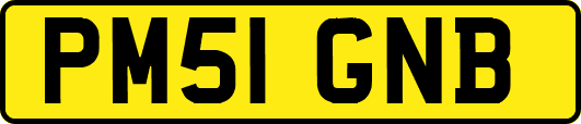 PM51GNB