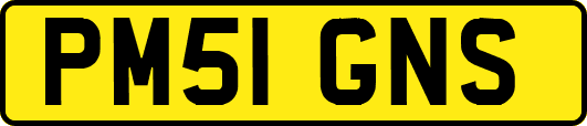 PM51GNS