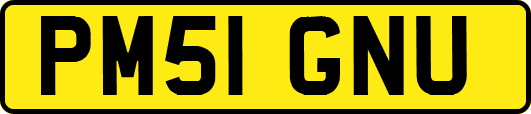 PM51GNU