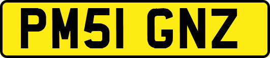 PM51GNZ