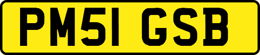 PM51GSB