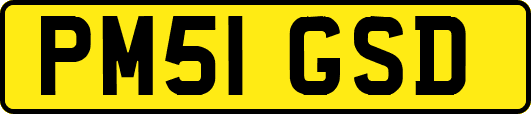 PM51GSD