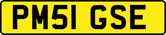 PM51GSE