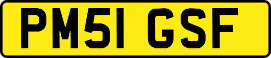 PM51GSF