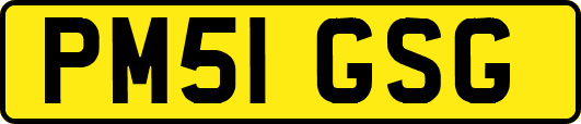 PM51GSG