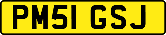 PM51GSJ