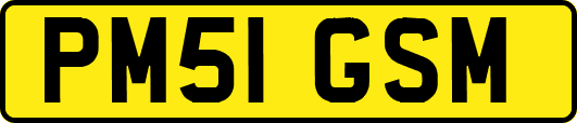 PM51GSM