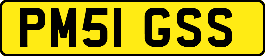 PM51GSS