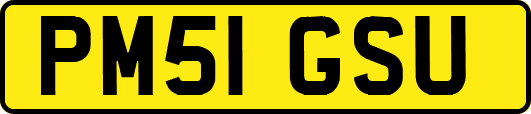 PM51GSU