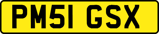 PM51GSX