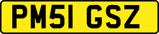 PM51GSZ