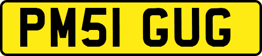 PM51GUG