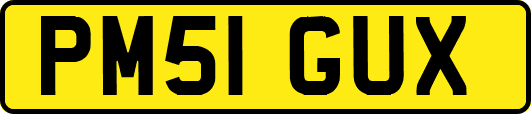 PM51GUX