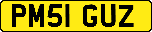 PM51GUZ