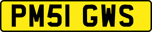 PM51GWS