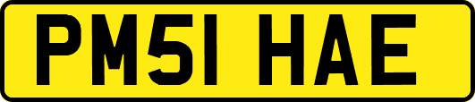 PM51HAE