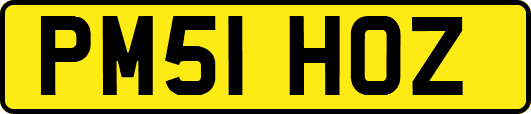 PM51HOZ