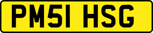 PM51HSG