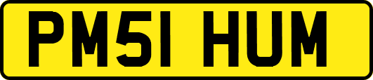 PM51HUM