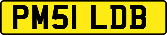 PM51LDB