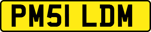 PM51LDM