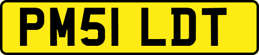 PM51LDT