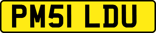 PM51LDU