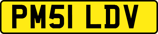 PM51LDV