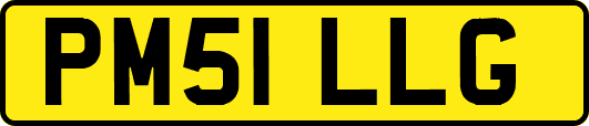 PM51LLG