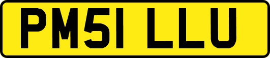 PM51LLU