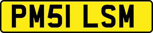 PM51LSM