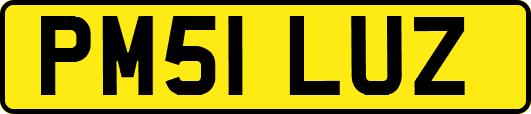 PM51LUZ