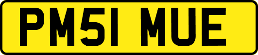 PM51MUE