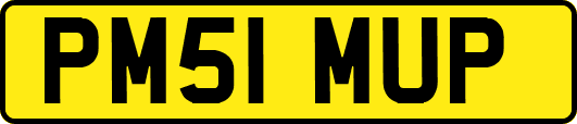 PM51MUP