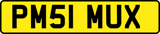 PM51MUX