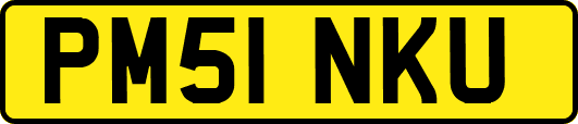 PM51NKU