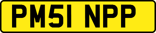 PM51NPP